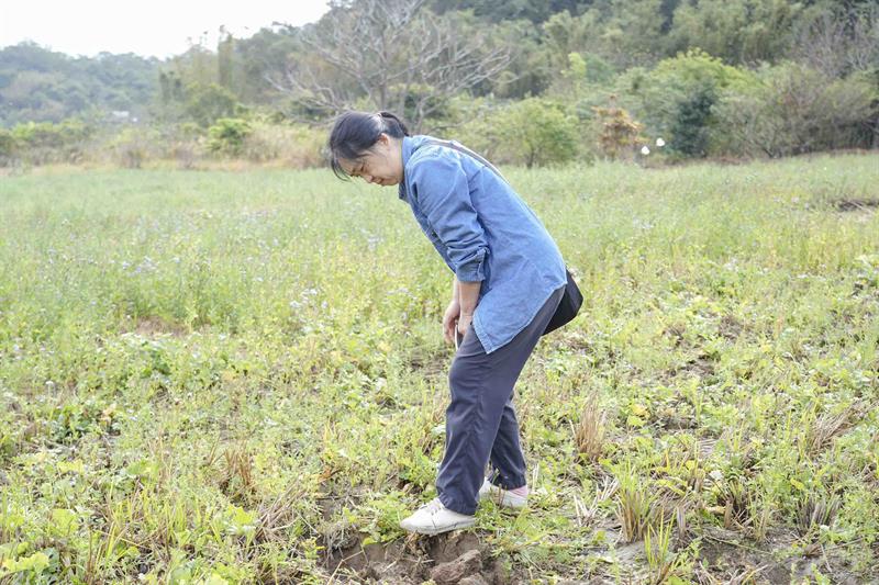 寶山春日客音獎_DSC00687_小檔