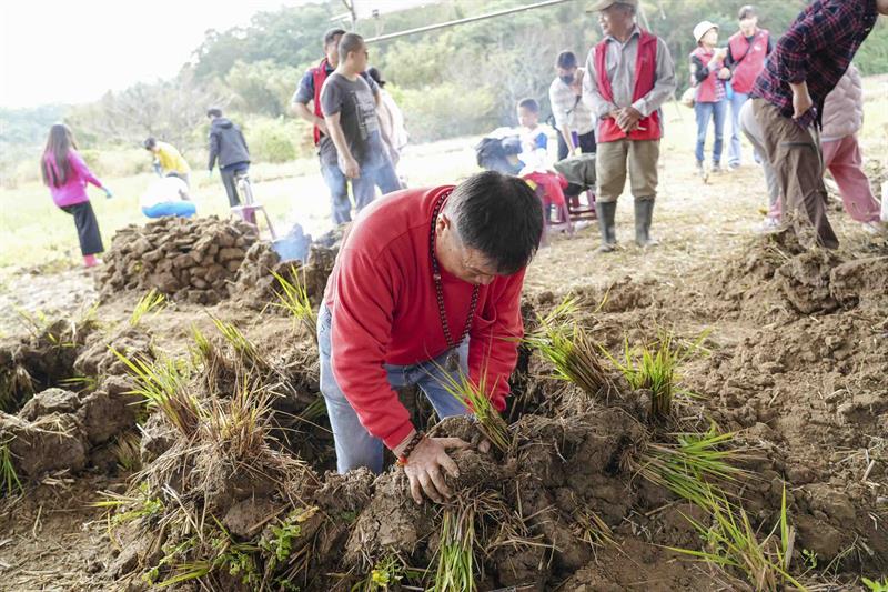 寶山春日客音獎_DSC00715_小檔