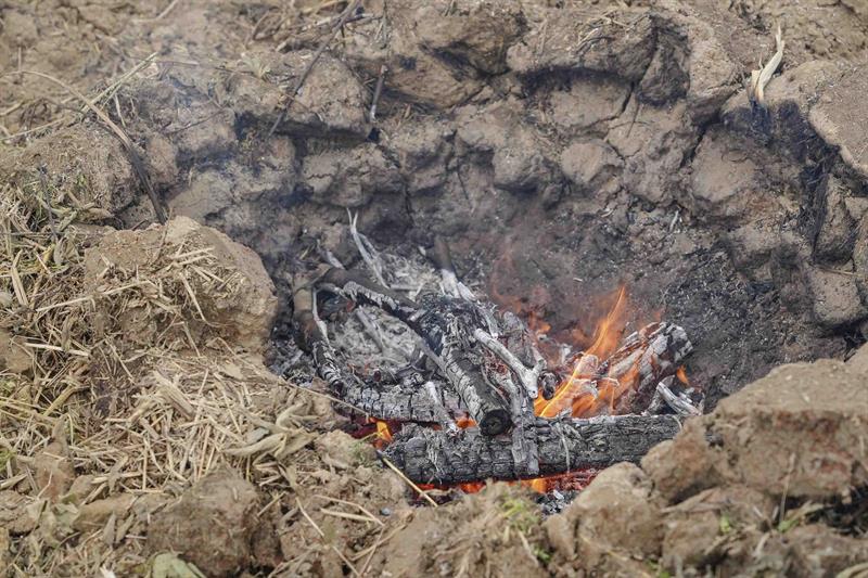 寶山春日客音獎_DSC01767_小檔